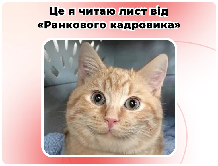 Це я читаю лист від «Ранкового кадровика»